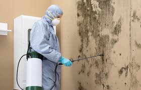 Best Mold Odor Removal Services  in East Syracuse, NY